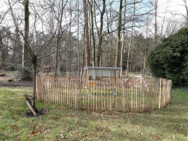 Imker in het park van de directeur - Beringen