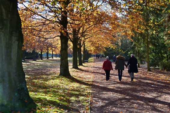 Allerheiligen en Allerzielen in beeld - Lommel