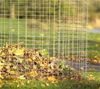 In de herfst vallen de bladeren - Lommel