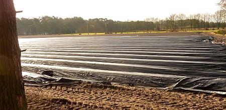 In de hoop op een grote oogst... - Lommel