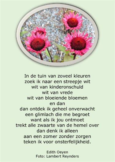 In de tuin zoveel kleuren - Beringen