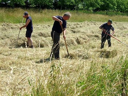 In de Vloeiweiden wordt er gehooid - Lommel