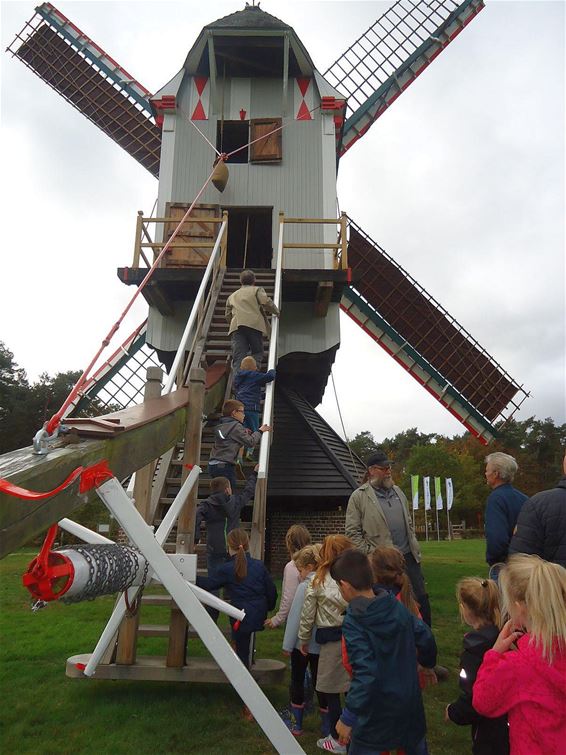 In een échte windmolen - Neerpelt