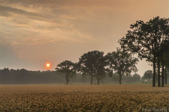 In het Lindel, na het onweer - Pelt