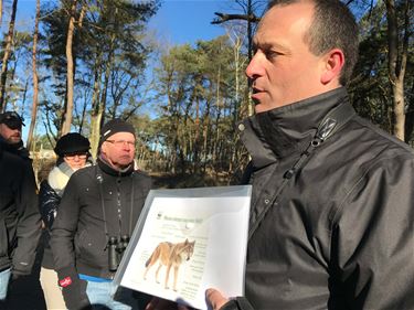 In het spoor van de wolf Naya - Beringen