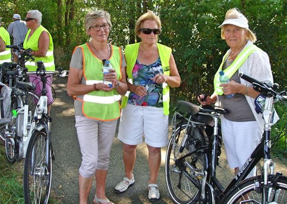 In volle zon naar Sint-Huibrechts-Lille - Meeuwen-Gruitrode