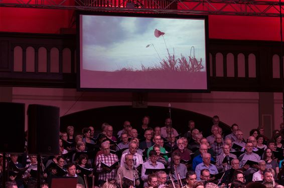 Indrukwekkend concert: A mass for peace - Beringen