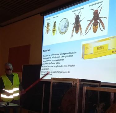 Infoavond Aziatische hoornaar - Beringen