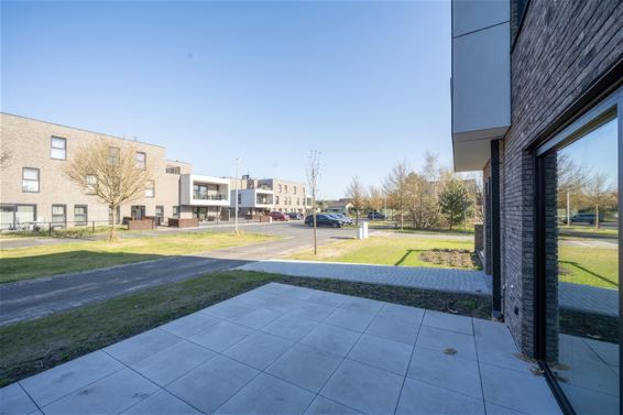 Infoavond ivm duurzaam woonproject Hezerbos - Lommel