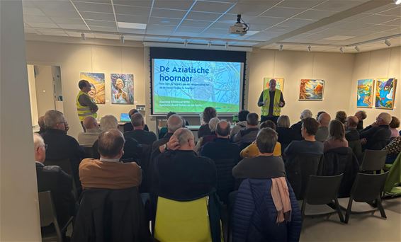Infoavond over Aziatische hoornaar lokt volle zaal - Bocholt