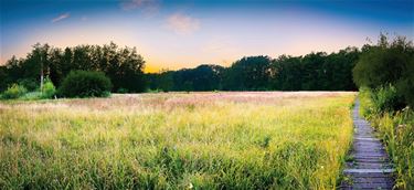 Infomarkt over Vallei van de Zwarte Beek - Beringen