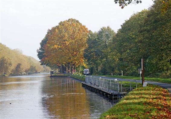 Infomarkt passantenhaven SHLille - Pelt