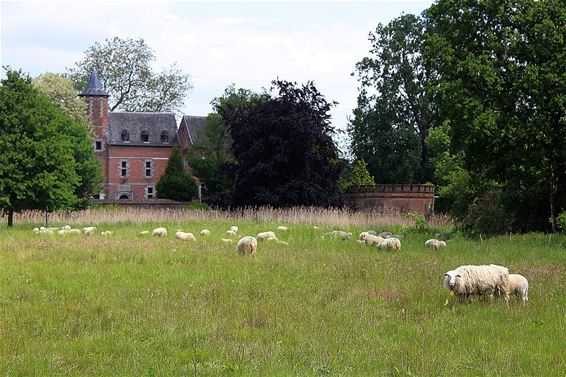 Infomoment plannen tuin Commanderij - Oudsbergen