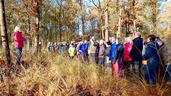 Informatiewandeling aan De Bever - Hamont-Achel