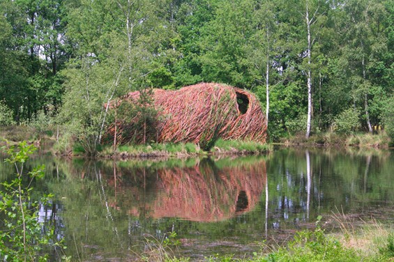 Infovergadering beheersplan park Heesakkerheide - Overpelt