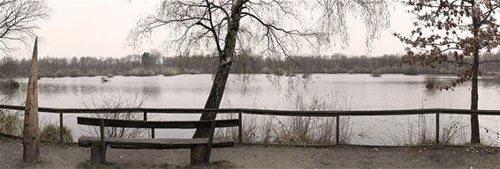 Infowandeling rond vijverherstel Lozerheide - Bocholt