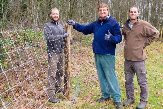 Inge en Guy zetten wolvenomheining - Beringen