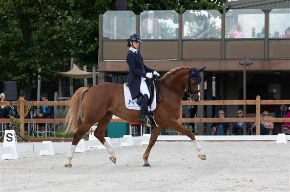 Inge Heylen wint dressuurwedstrijd - Peer