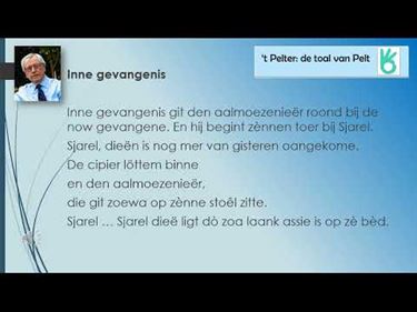 Inne gevangenis - Pelt
