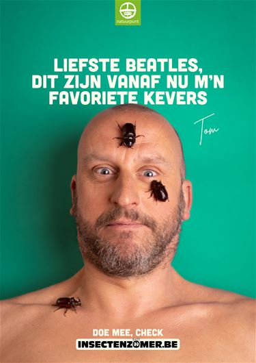 Insectenzomer van Natuurpunt - Beringen & Leopoldsburg
