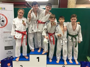 Internationaal judotornooi in Oudsbergen - Hechtel-Eksel & Pelt