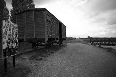 Internationale Herdenkingsdag voor de Holocaust - Beringen & Leopoldsburg