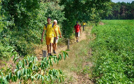 Internationale Teutenwandeling van Milieu 2000 - Lommel