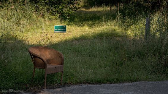 Is de stoel terug? - Pelt