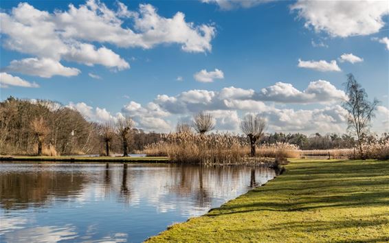 Is het al lente? - Hechtel-Eksel