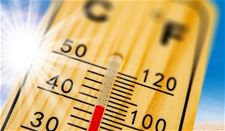 Peer - Temperatuur: 3 graden warmer