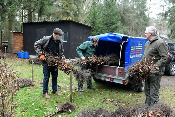 Jagers planten 24.000 hagen en bomen - Tongeren & Beringen