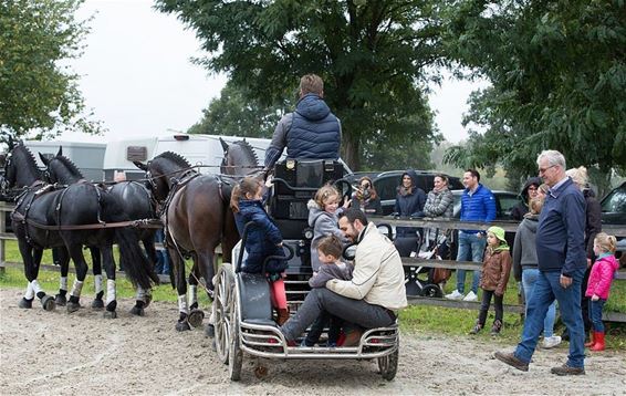 'Jelle's Home' te koop - Pelt