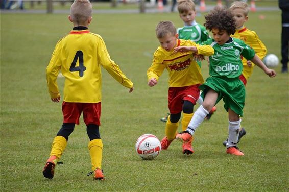 Jeugdtornooi bij SV Breugel - Peer