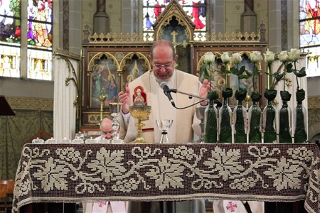 Jo Delille 50 jaar priester - Neerpelt