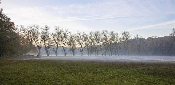 Joggen in de nevel - Pelt