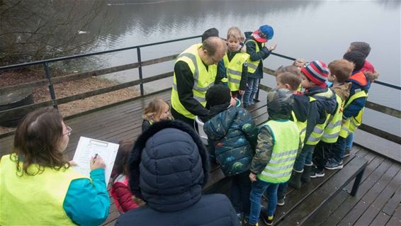 Jonge hulp voor de amfibieën - Meeuwen-Gruitrode