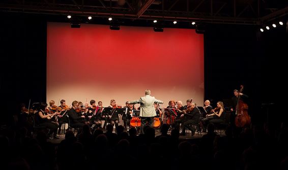 Jubileumconcert van 'Falta de Tiempo' - Neerpelt