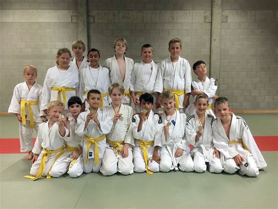 Judoclub Eksel klaar voor seizoensstart - Hechtel-Eksel