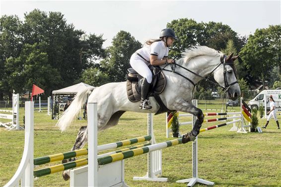 Jumping De Paardenwinning Stal - Beringen