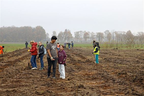 'Juniorbos' telt al 525 bomen - Pelt