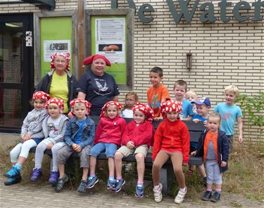 Kabouters en kriebelbeestjes in Koersel - Beringen