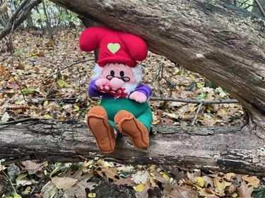 Kabouters gespot op de Klitsberg - Beringen