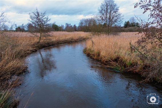 Kan het Hageven weer een spons worden? - Pelt