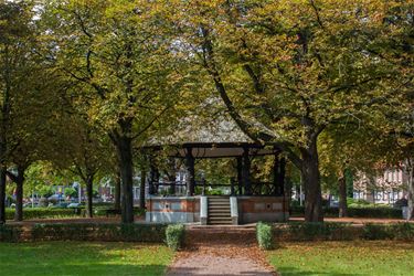 Kastanjemineermot teistert bomen Kioskplein - Beringen