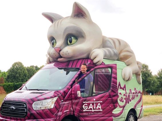 Katmobiel Gaia komt naar markt - Beringen