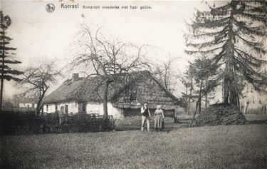 Kempisch moederke met haar gedoe - Beringen