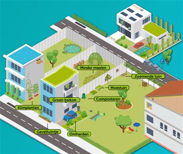 Ken je de Natuurbuur al? - Leopoldsburg