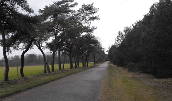 Ken je de Wienster? - Hechtel-Eksel