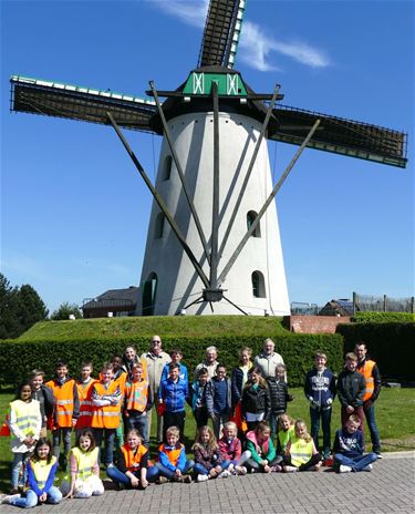 Kennismaken met de Lilse Meulen - Neerpelt