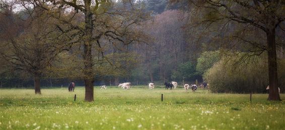 Kerkhoven en Gelderhorsten vandaag - Lommel